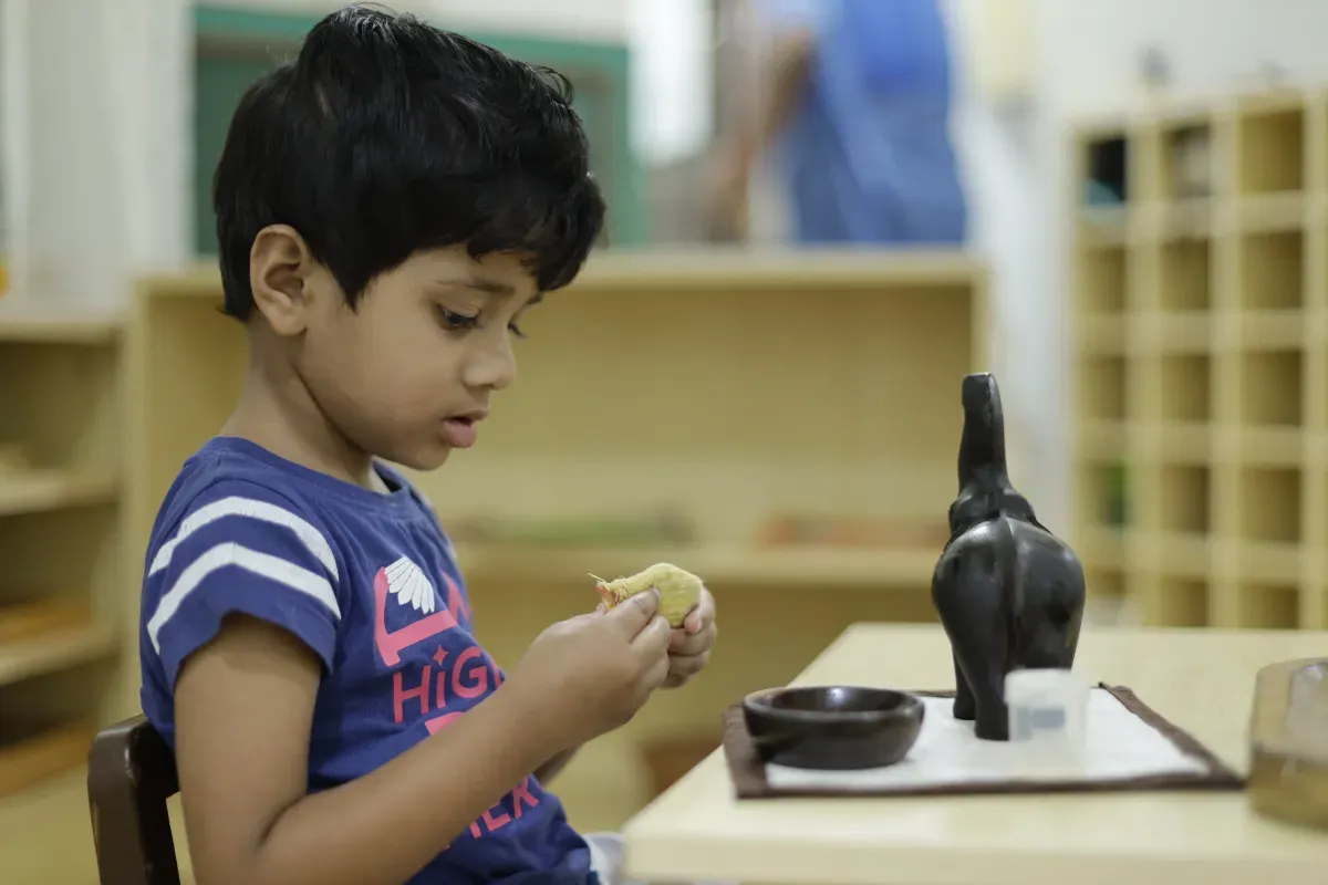 Toddler superimposition objects — sensorial work